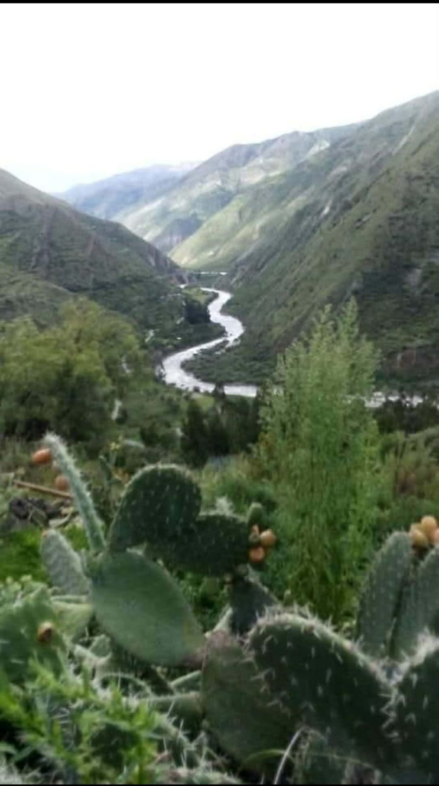 Paisaje 5