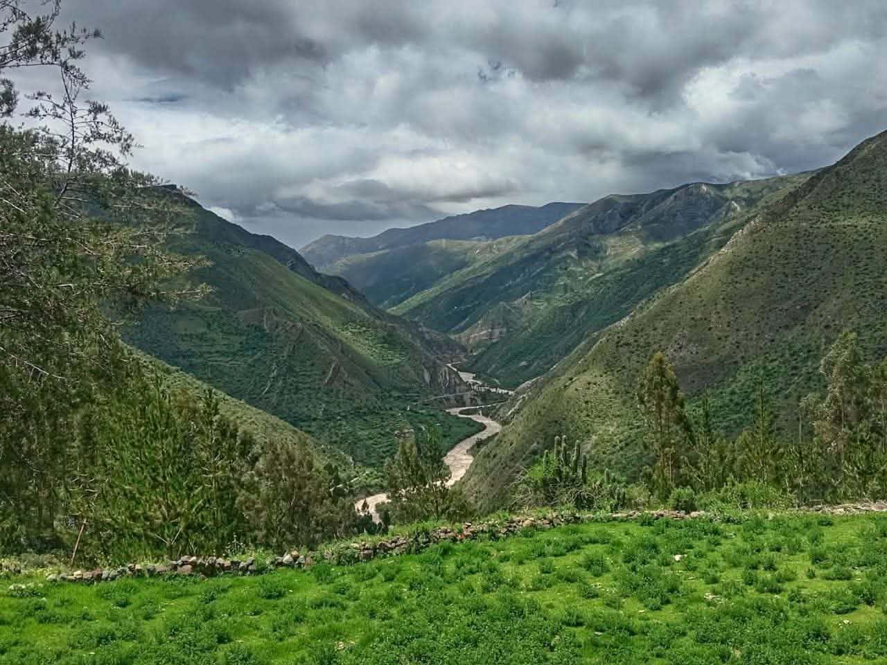 Paisaje 7